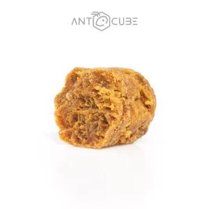 Ant Nuggets - Delicious snacks for ants - ANTCUBE