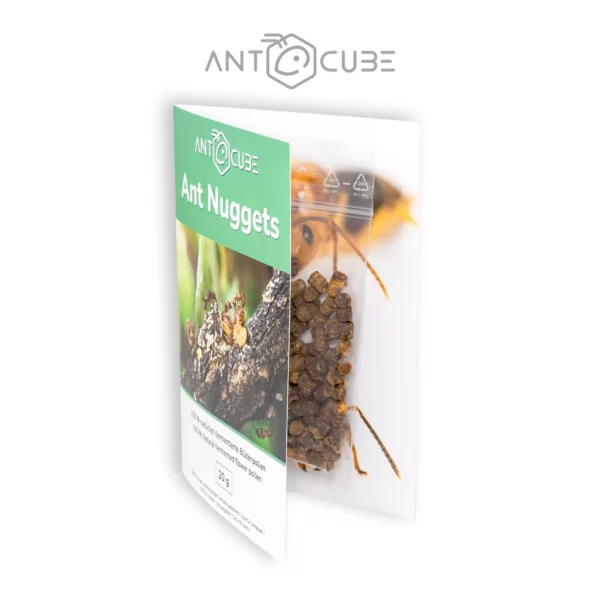 Ant Nuggets - Delicious snacks for ants - ANTCUBE